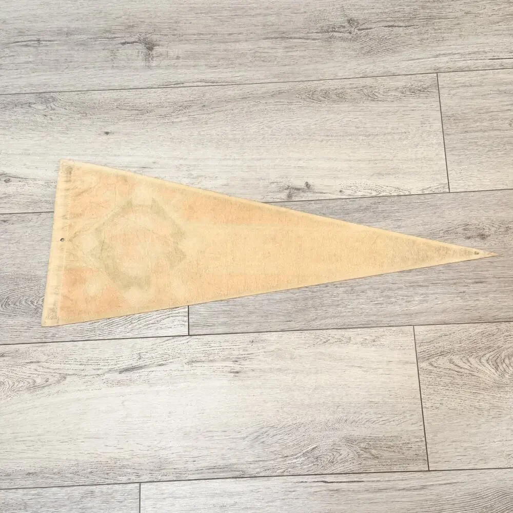 Vintage Cleveland Indians Baseball Wool Felt Souvenir Pennant 30
